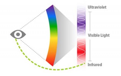 Láser- infrarrojo-espectro de luz visible- fotopigmento,