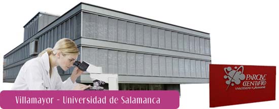 Uninvest-Universidad de Salamanca-base tecnológica- inversión