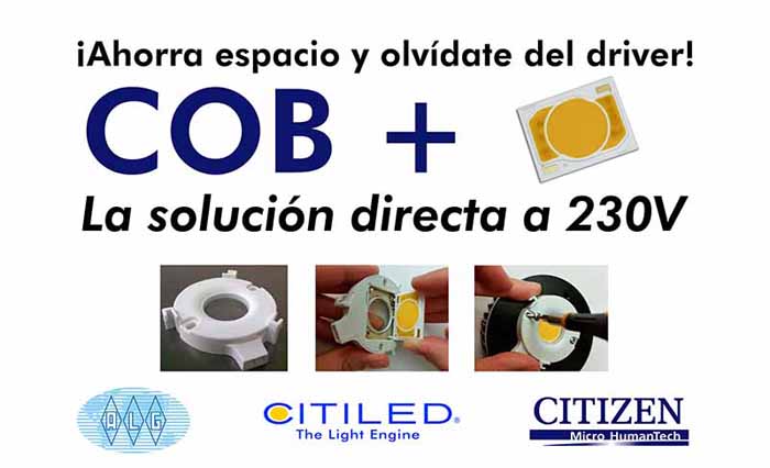 LED- COB +- Citizen Electronics-ALG