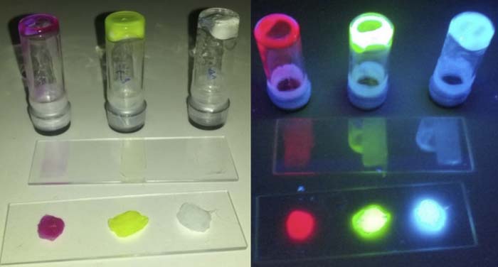 LED - luz - fluorescencia - BioLED - luminiscente
