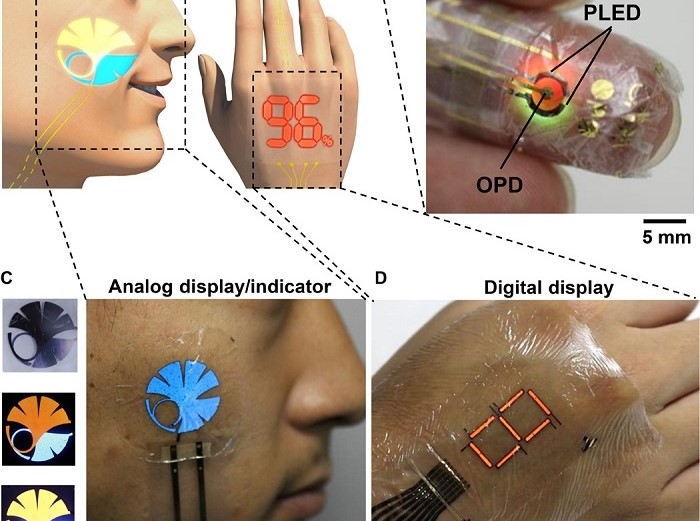 Universidad de Tokio- e-skin – lámina - Science Advances - monitorización