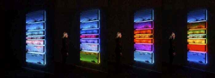 IED Master - taller gratuito - uso creativo de la luz - luz - iluminación -Maja Petric