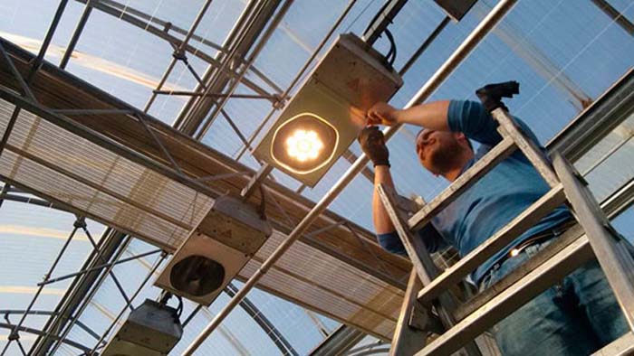 nuevo negocio - ALG - iluminación para horticultura - iluminación -LED