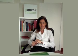 ICP Europe, Elena González, ANESE, eficiencia energética, ICP