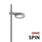 Carandini - Spin